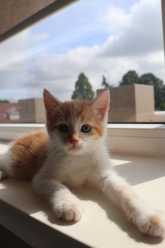 Pablo