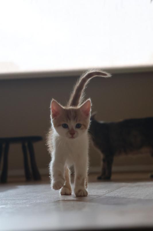 Pablo