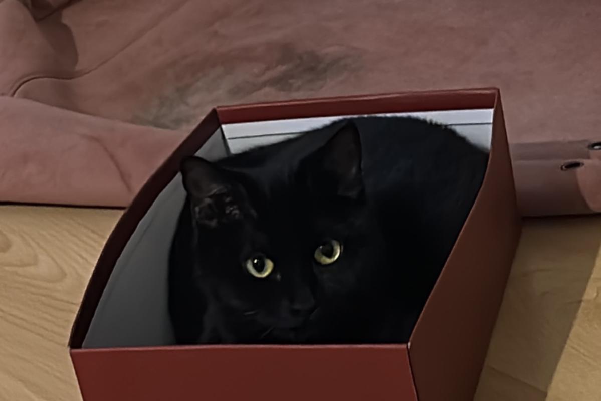 Zeytin