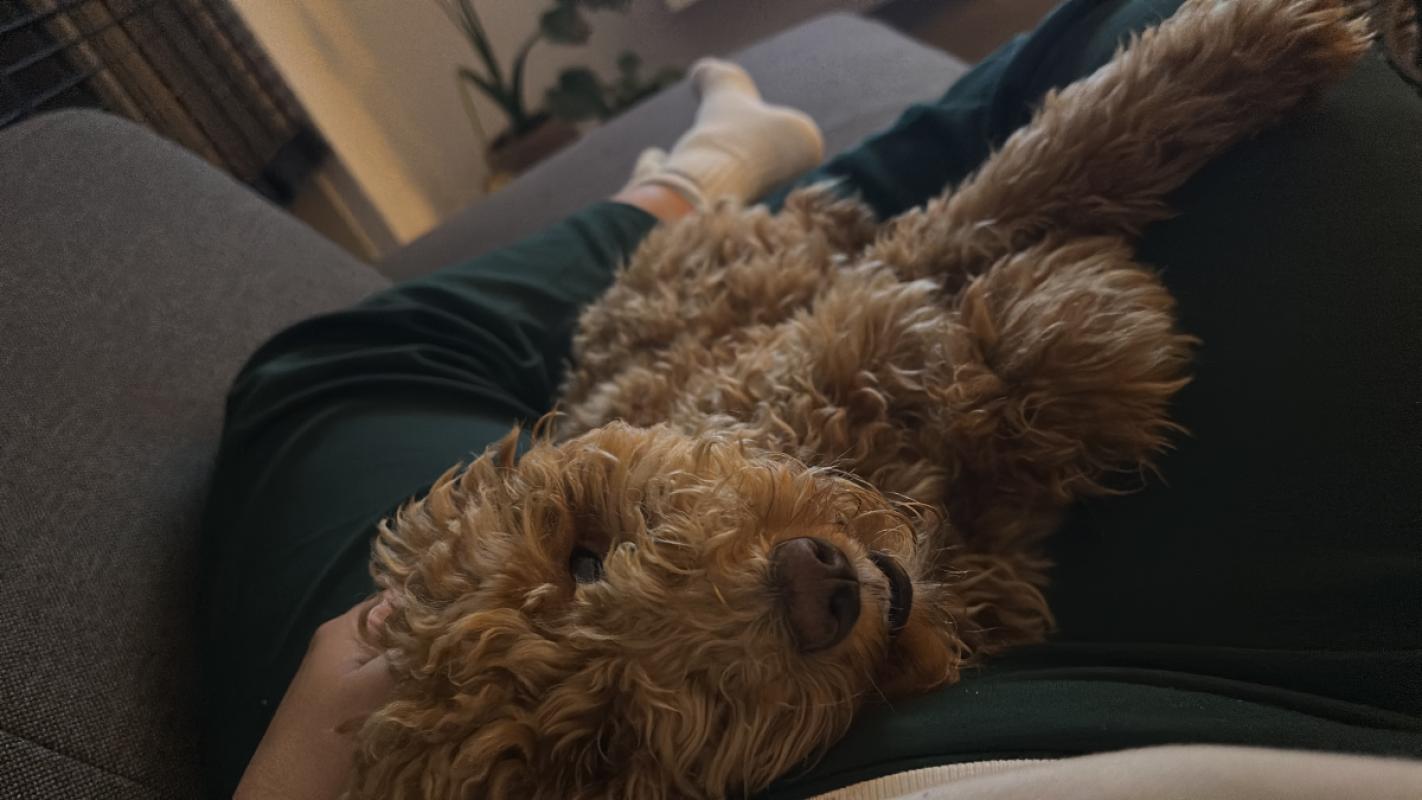 Bella