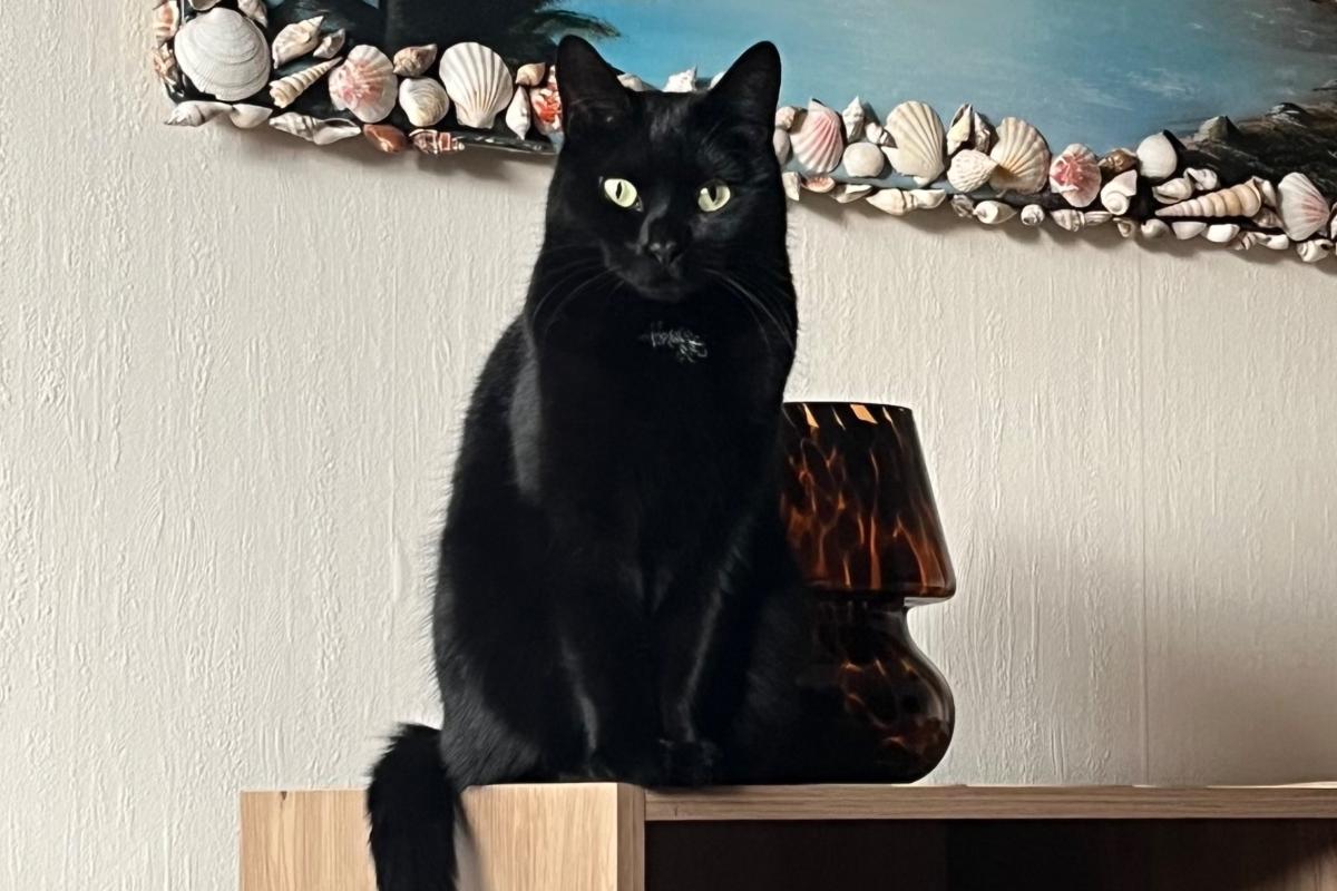 Luna