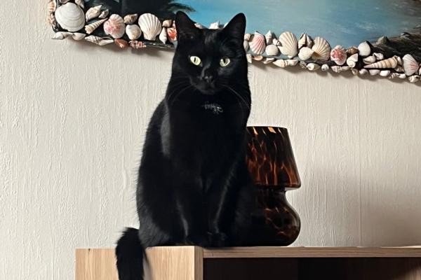 Luna