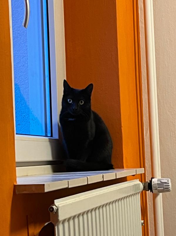 Luna