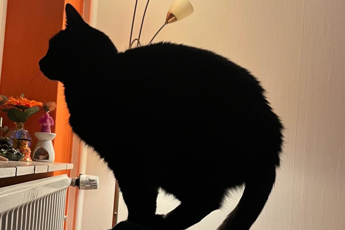 Luna