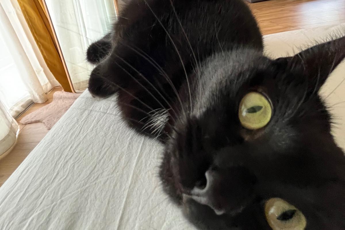 Luna