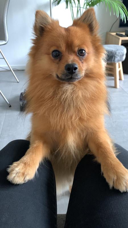Pablo