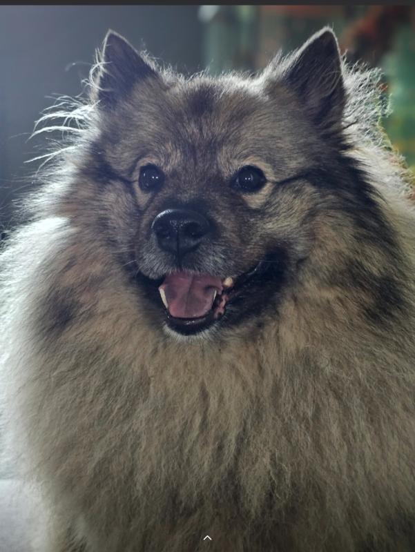 Milo