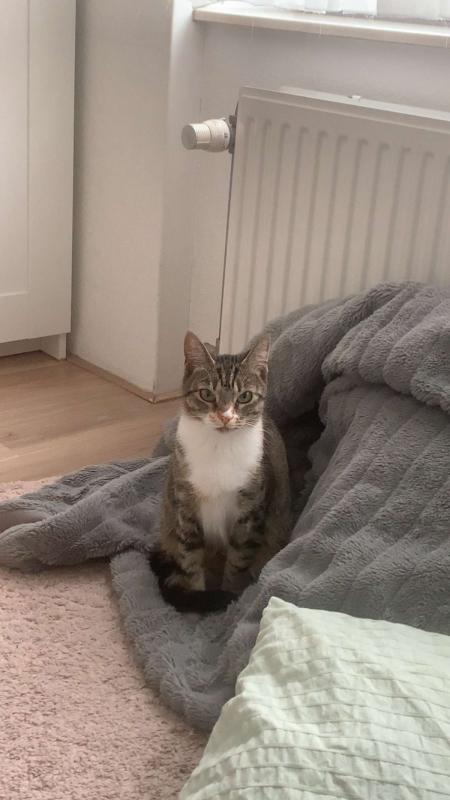 Sita