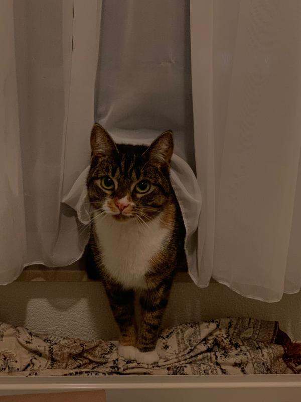 Sita