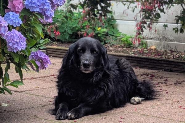 Zeytin