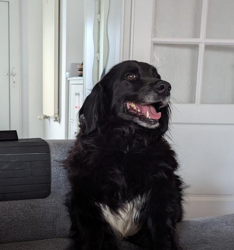 Zeytin