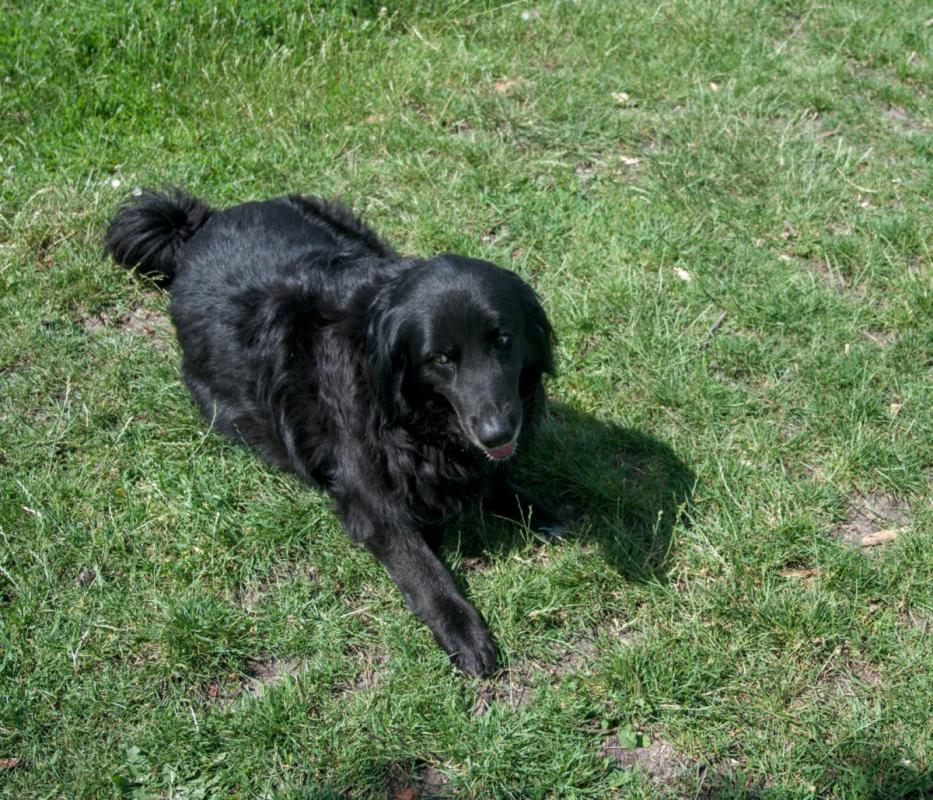 Zeytin