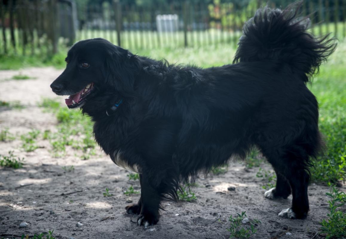 Zeytin