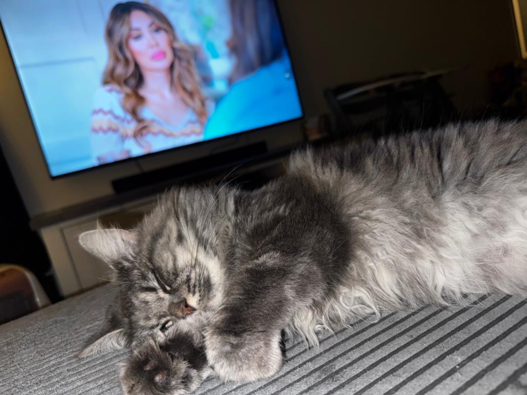 Luna
