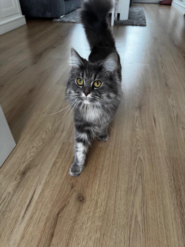 Luna