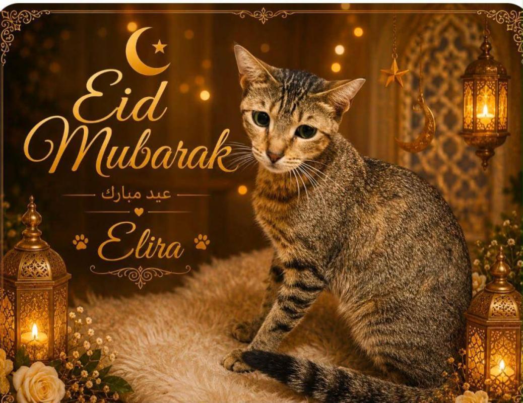 Elira
