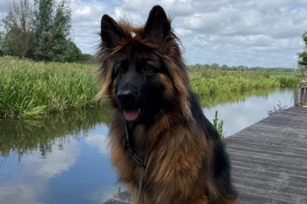 Max