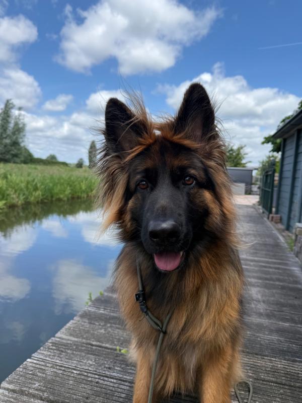 Max