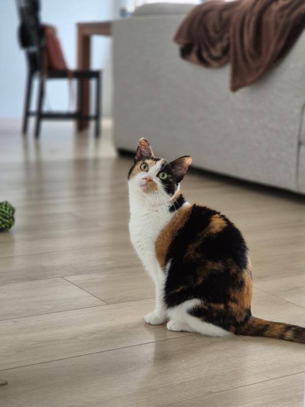 Rosie