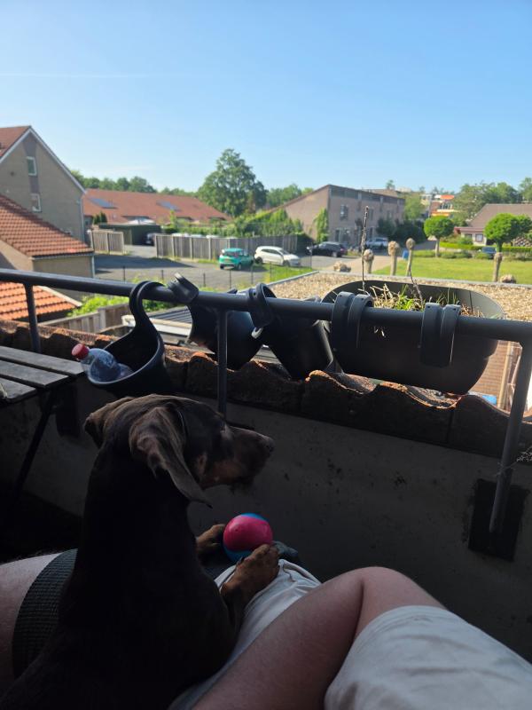 Teun