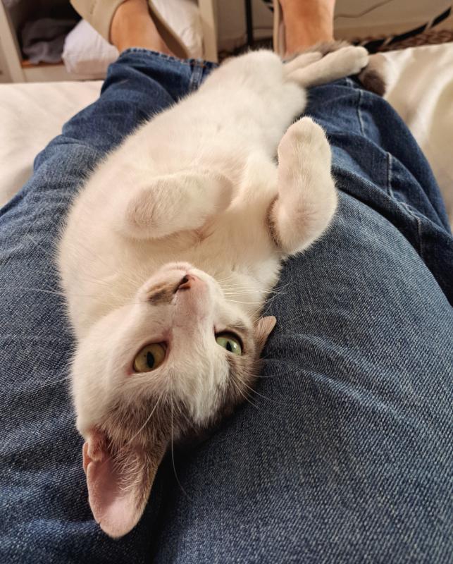 Laura