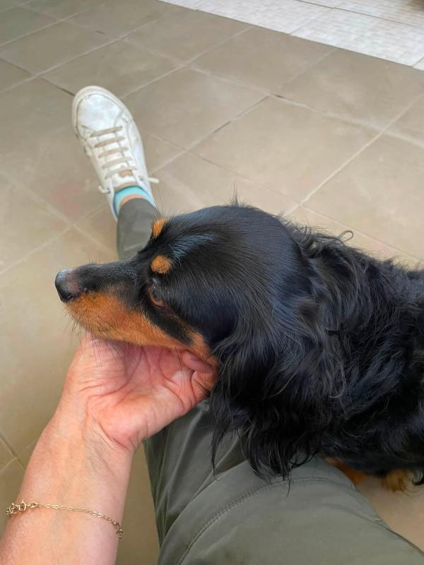 Benni