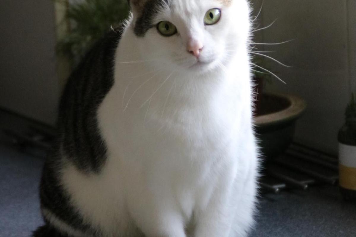 Luna
