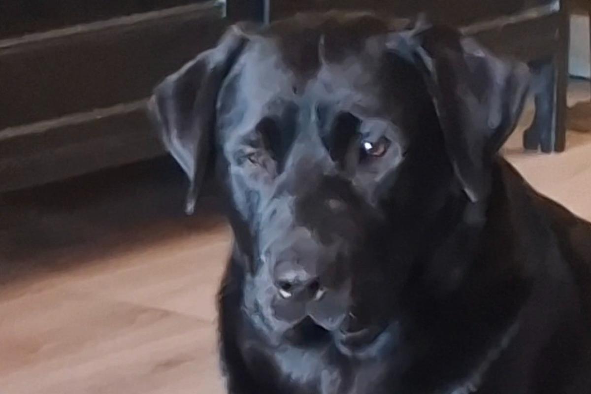Jax