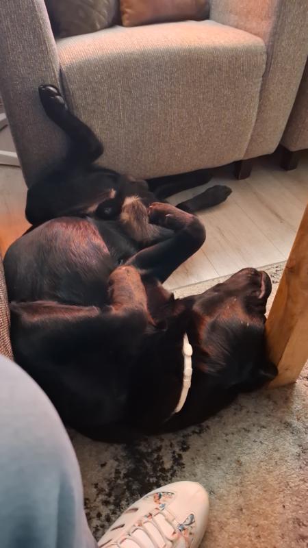 Jax