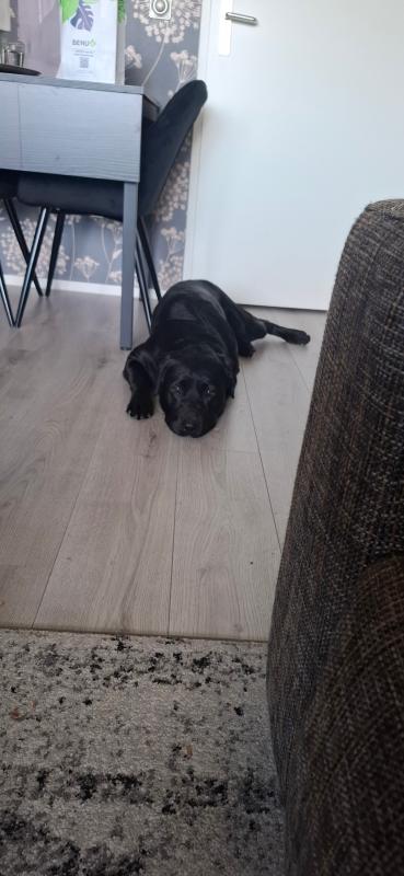 Jax