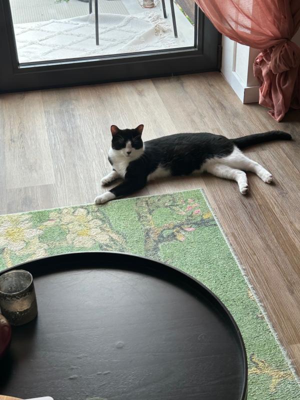 Benji