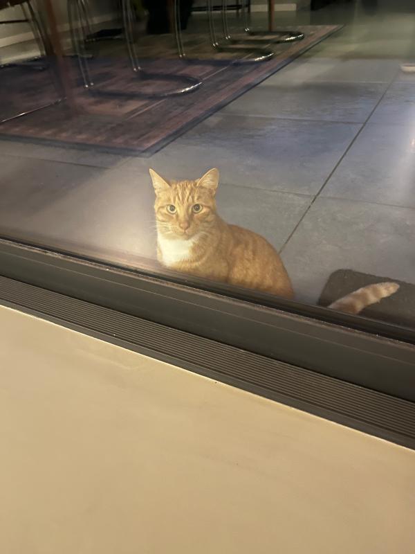Simba