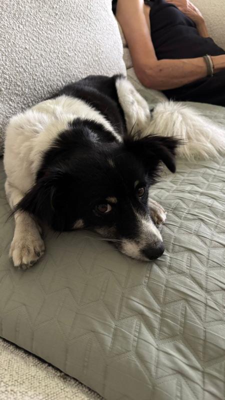Sammie