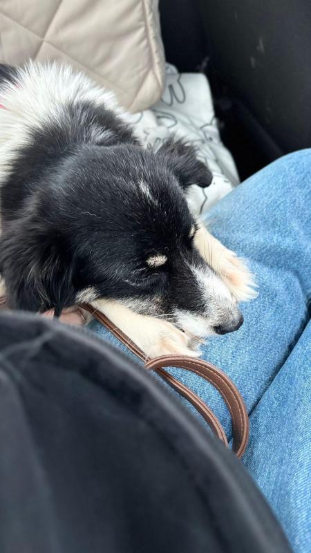 Sammie