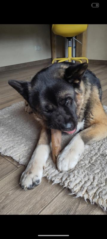 Mika