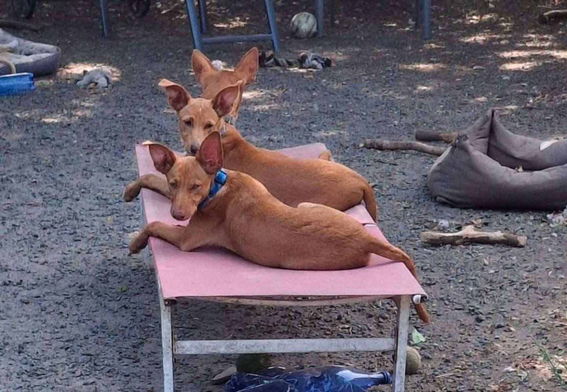 Viernes