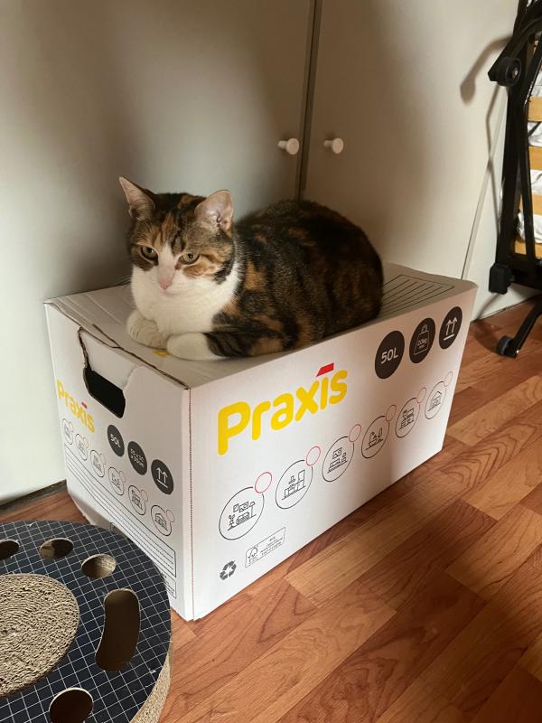 Pip