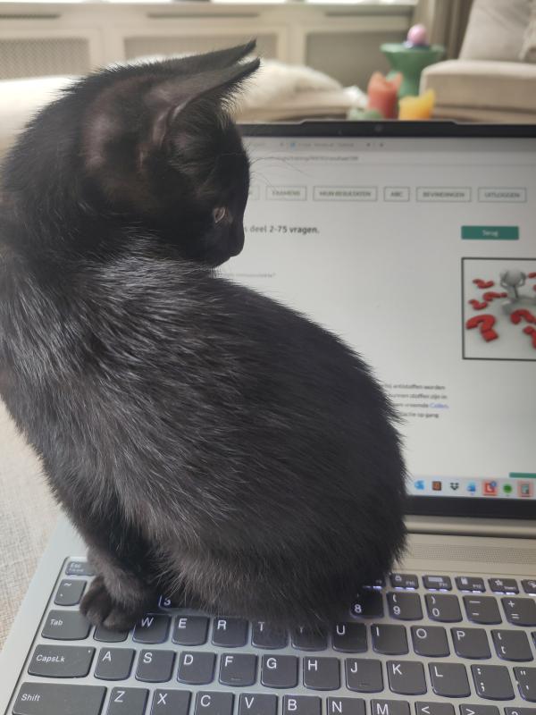 Suki