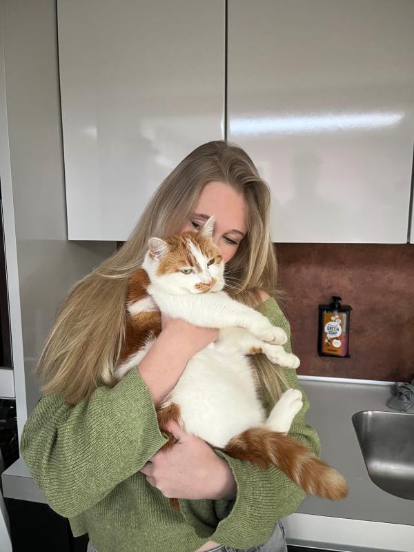 Cato