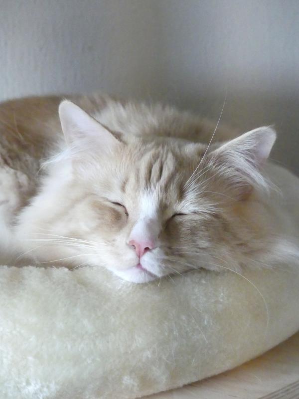George