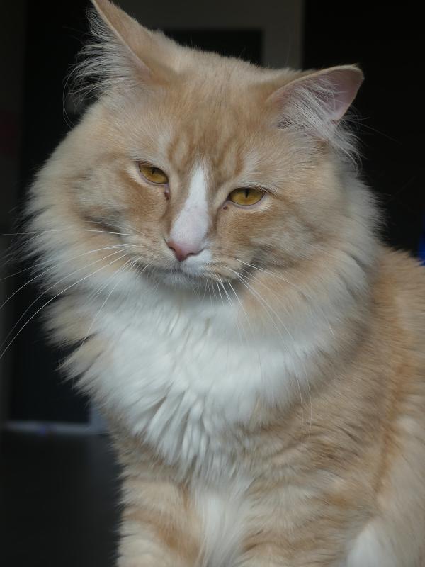 George