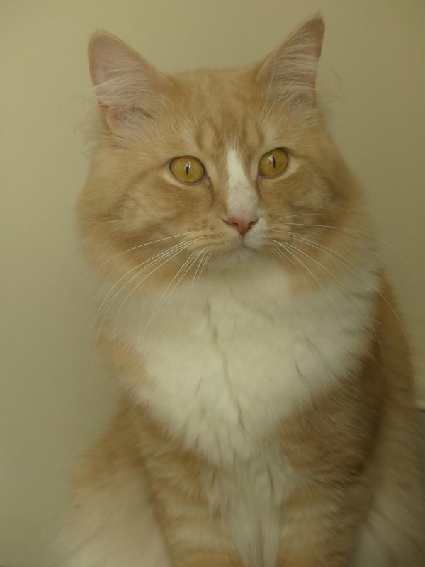 George