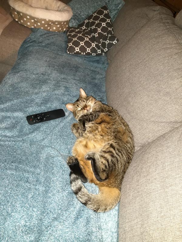 Jinxy