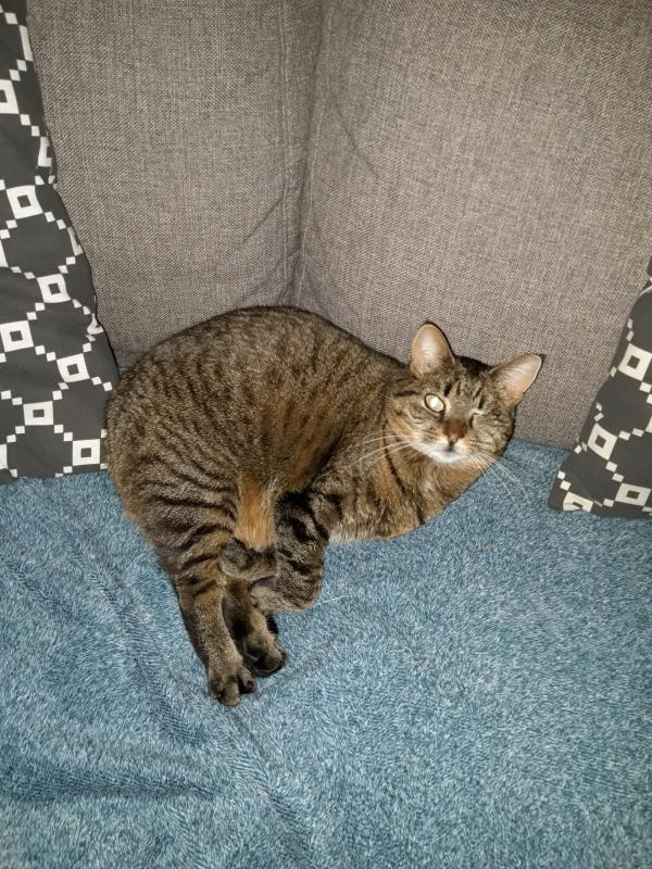 Jinxy
