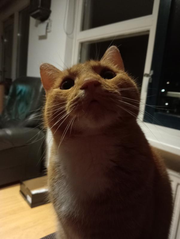 Mika