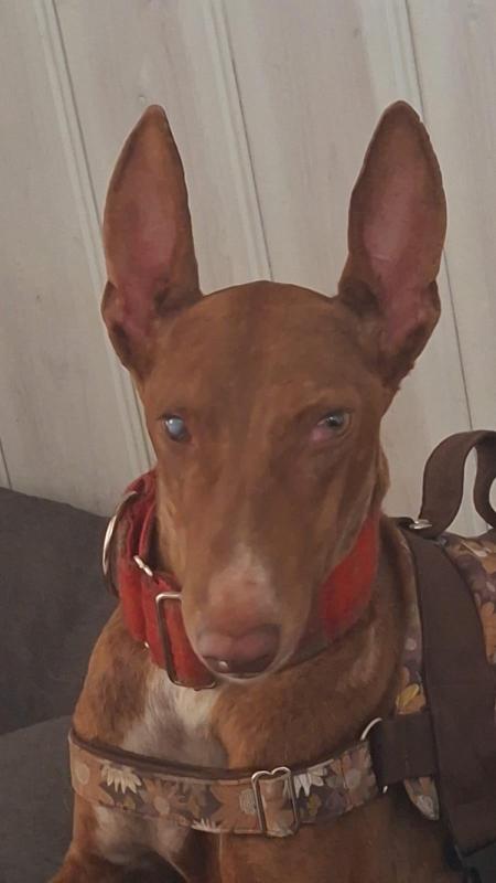 Ruby