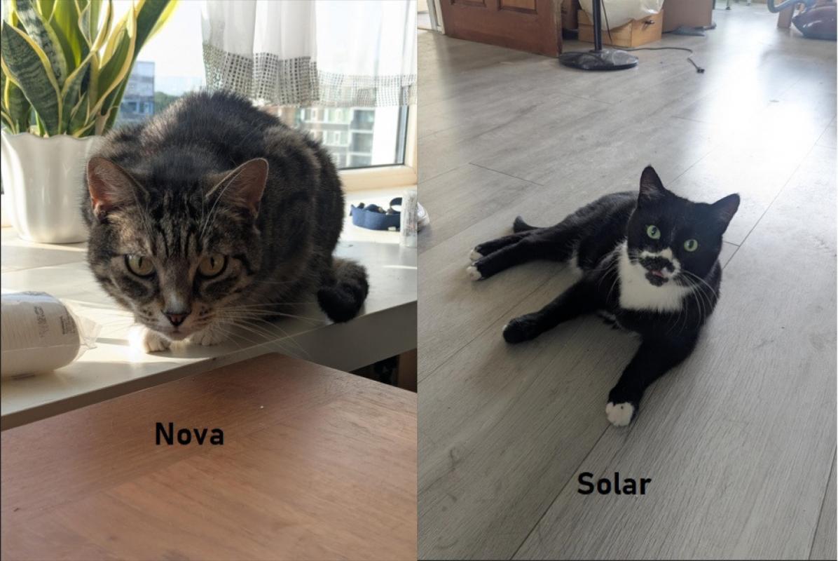 Solar + Nova