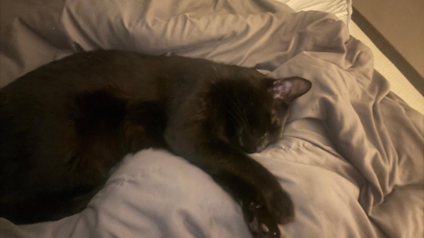 Loki