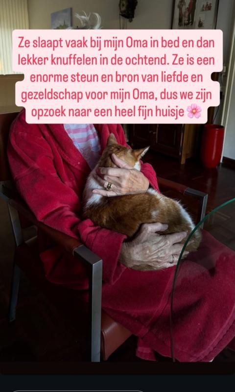 Pien