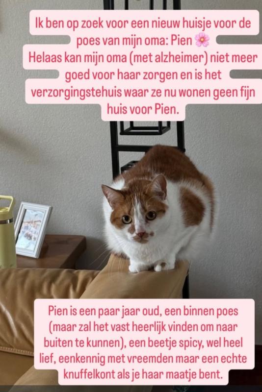 Pien